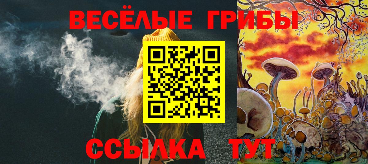 Галлюциногенные грибы Psilocybine cubensis Вичуга