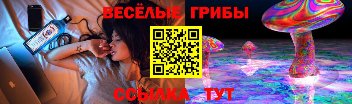 Галлюциногенные грибы Cubensis  Вход с VPN  Псилоцибиновые грибы Psilocybine cubensis  Вичуга 